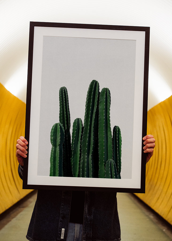Cactus 