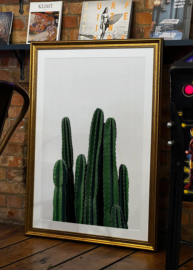 Cactus 