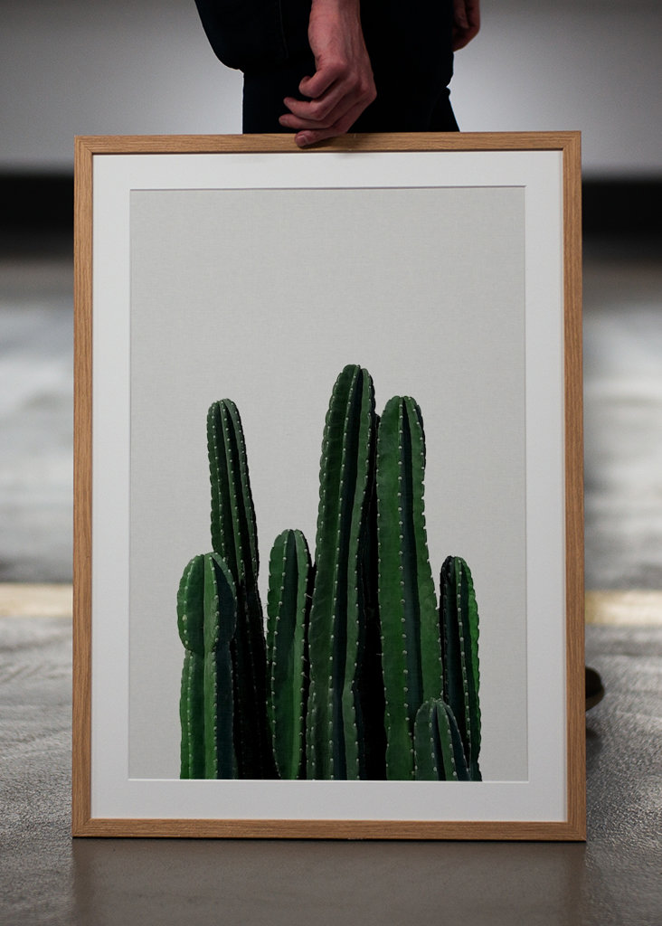 Cactus 
