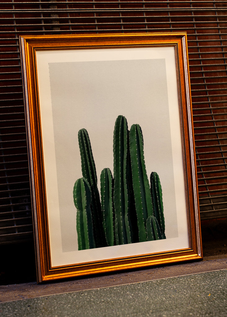 Cactus 