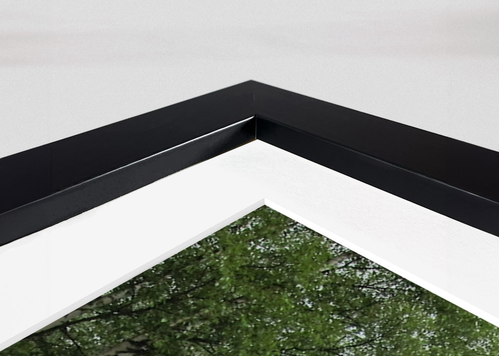 A summerday by the river