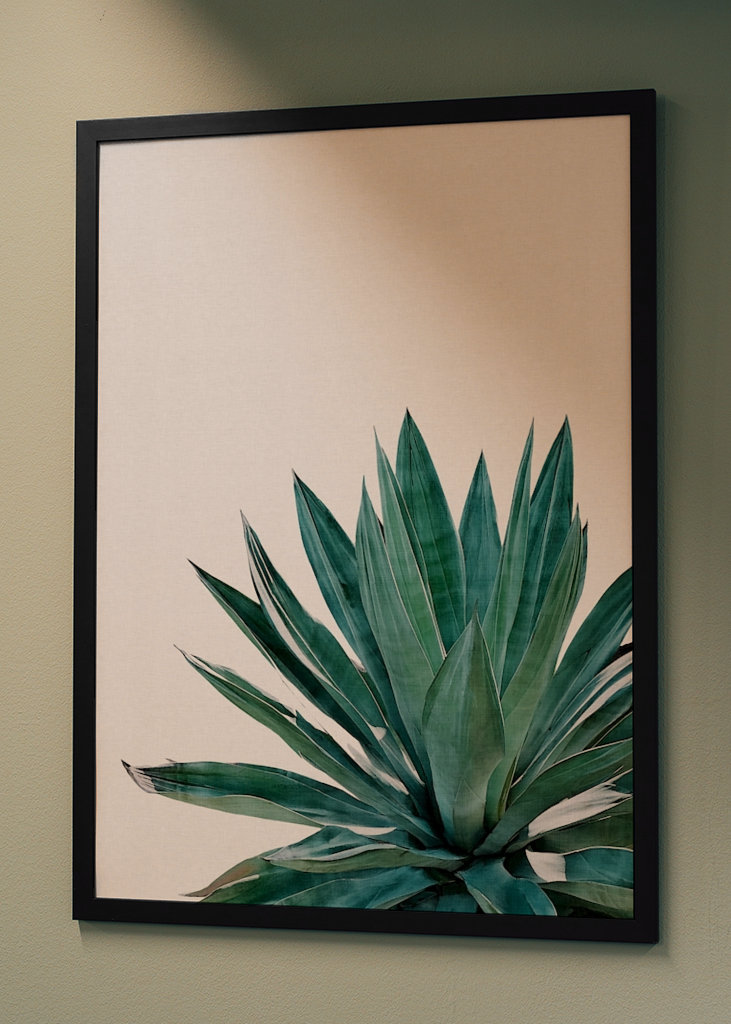 Agave Cactus