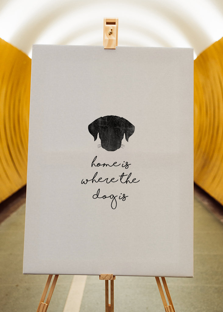 Domov je tam, kde je pes