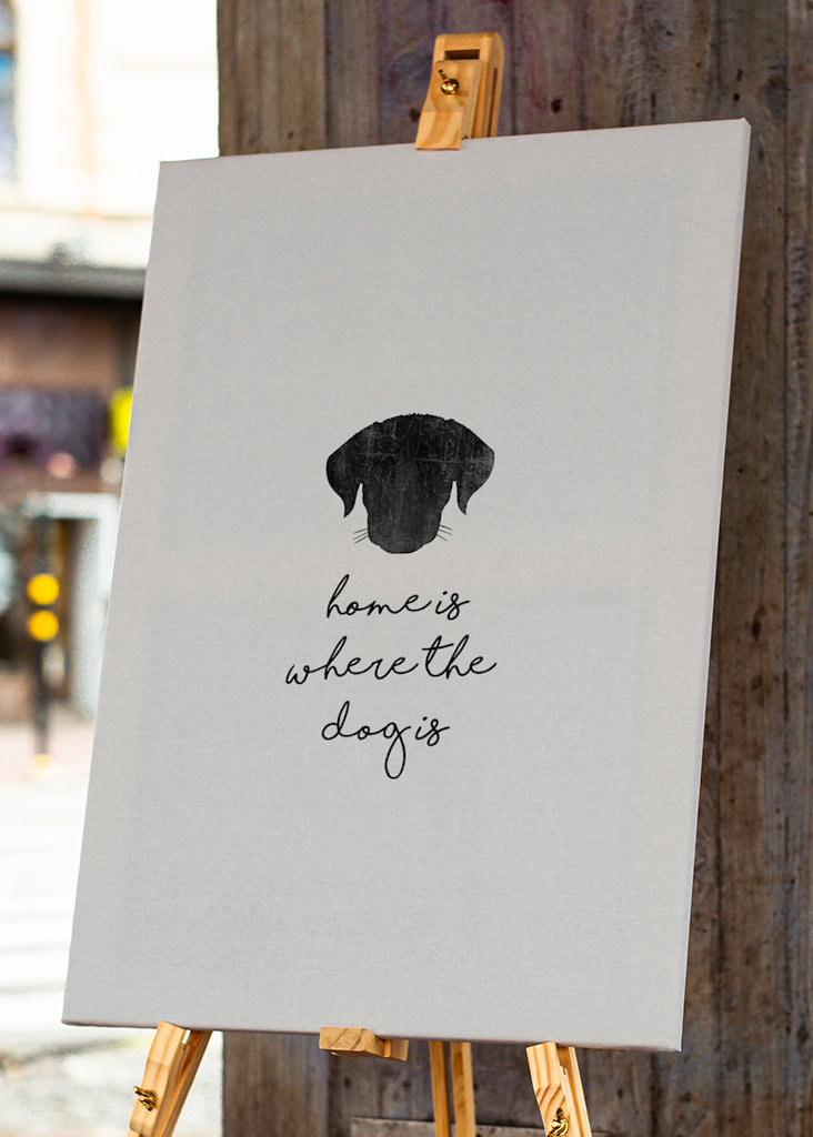 Domov je tam, kde je pes