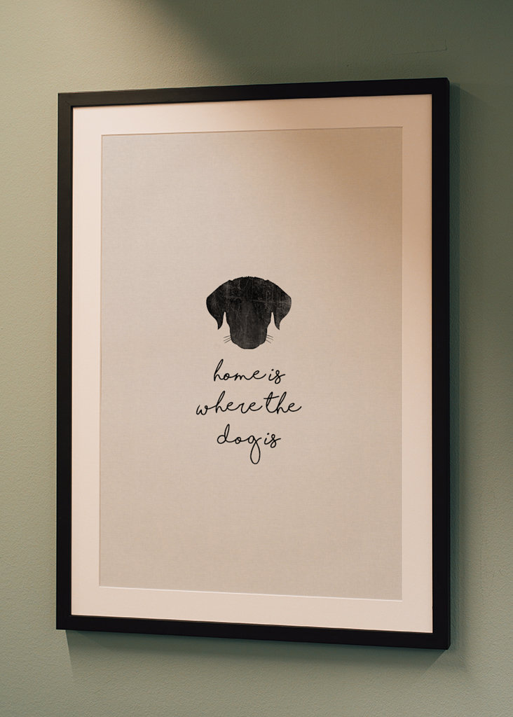 Domov je tam, kde je pes