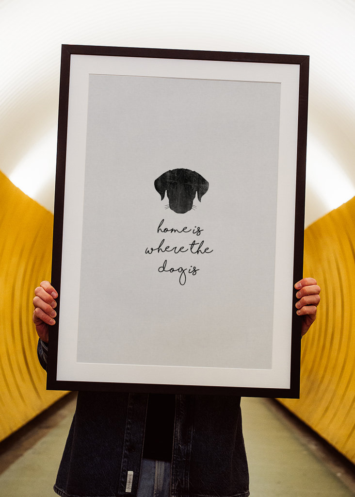 Domov je tam, kde je pes