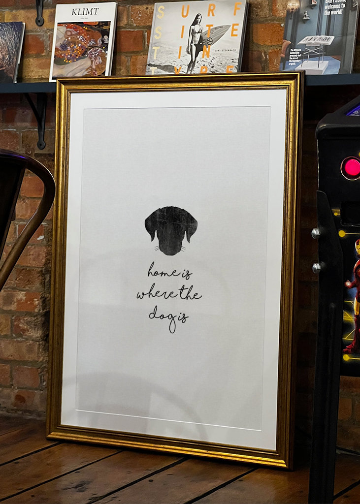 Domov je tam, kde je pes