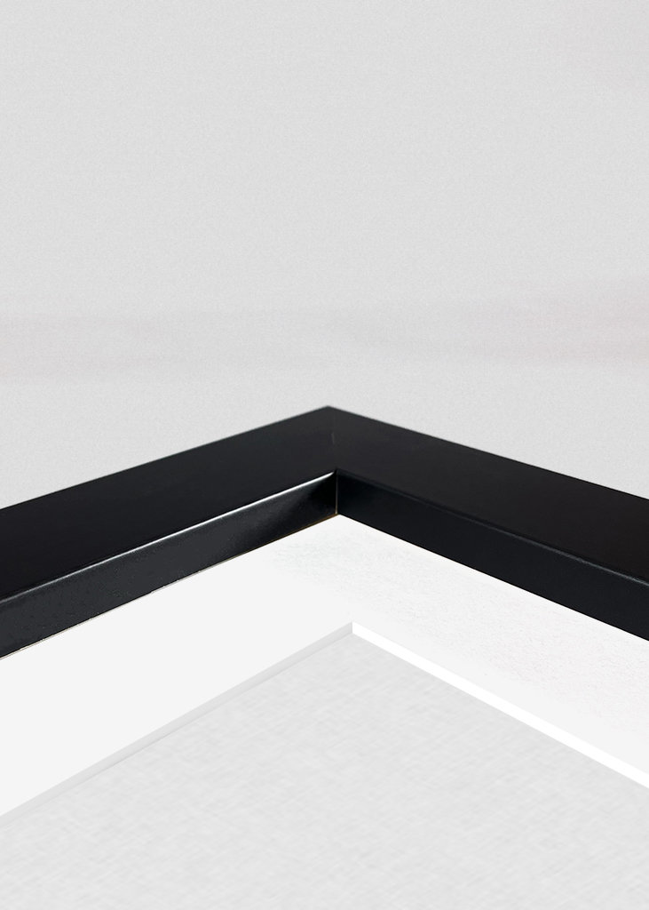 Domov je tam, kde je pes