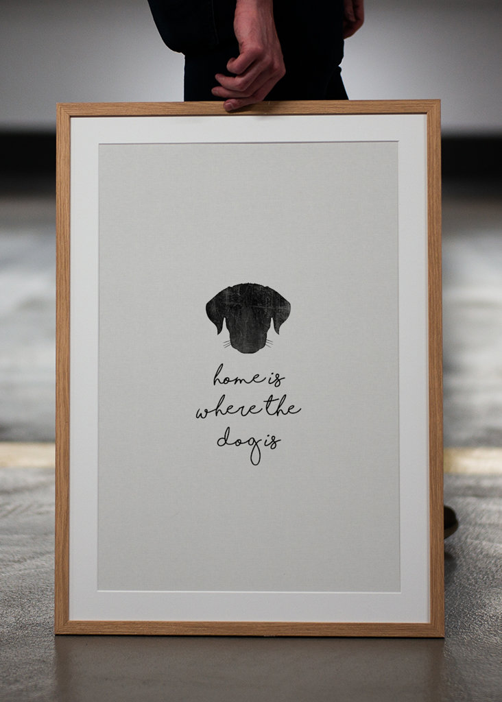 Domov je tam, kde je pes