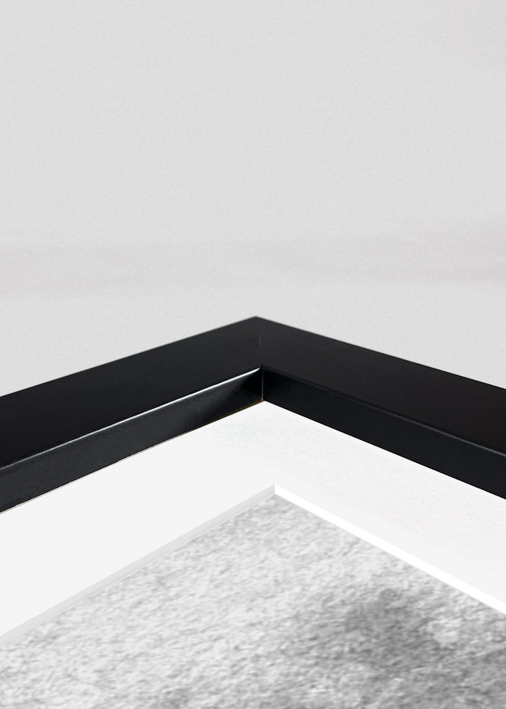 Liberi di essere gentili