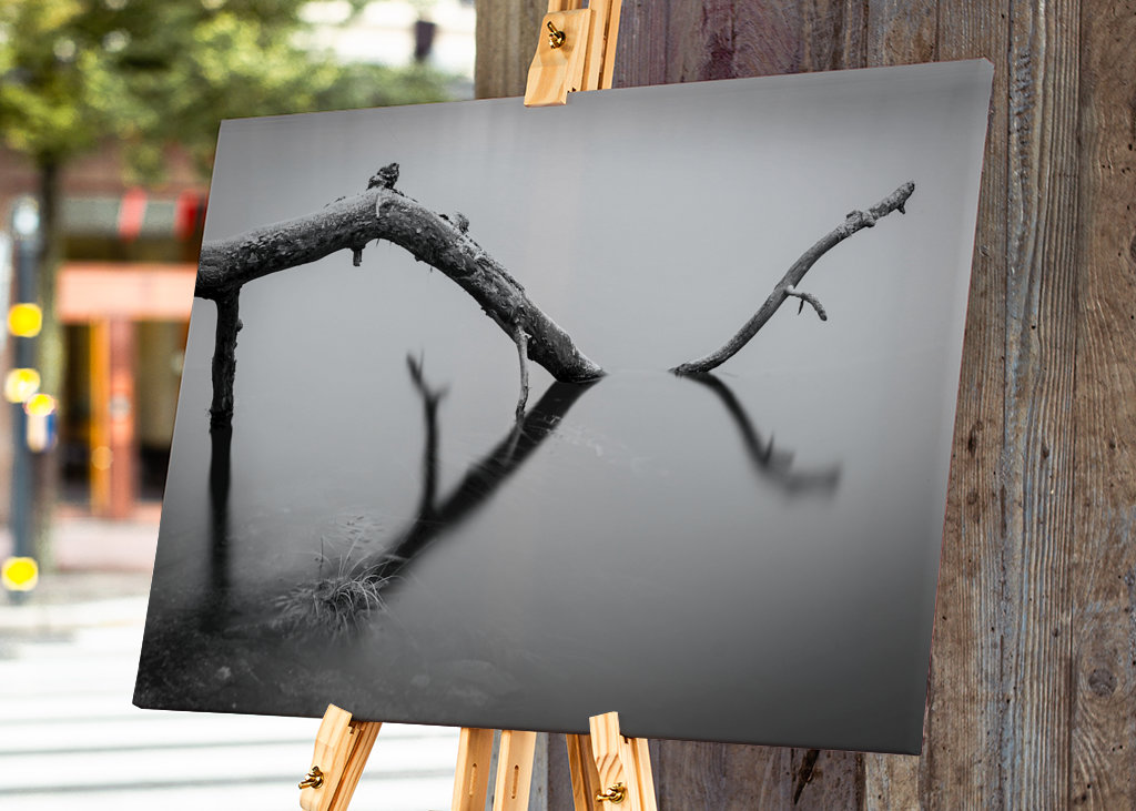 Ast in stillem Wasser