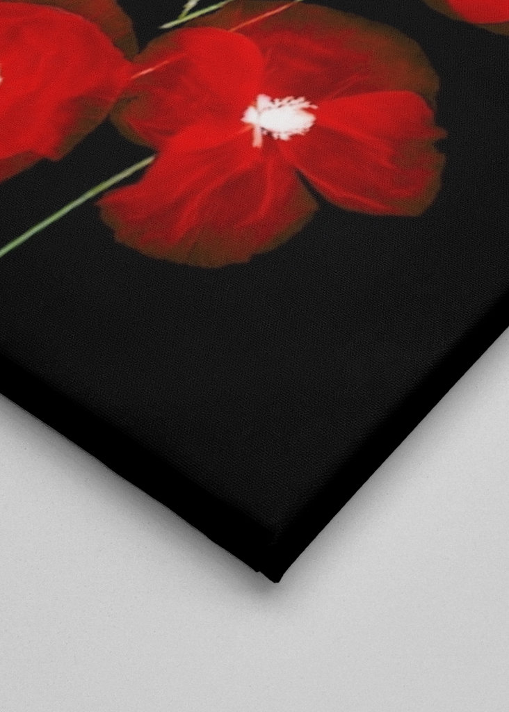 Kreative Mohnfotografie