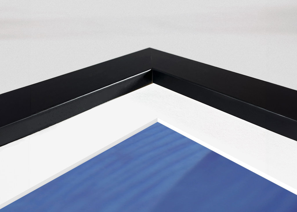 Makro Blume - Pfingstrose Foto