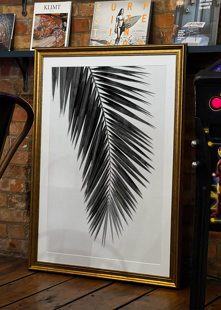 Palm Leaf Black & White I