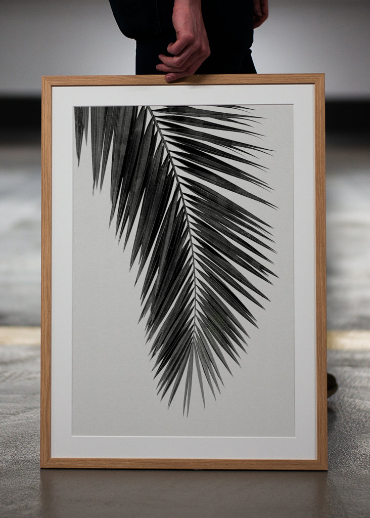 Palm Leaf Black & White I