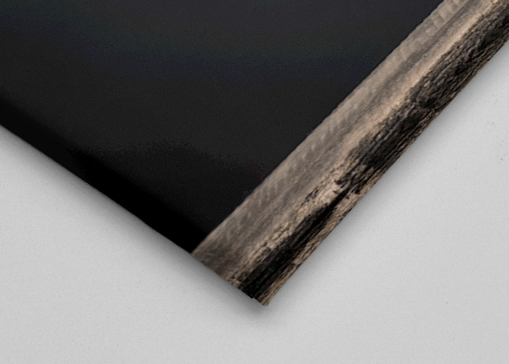 Uschlé žluté květy sedmikrásky