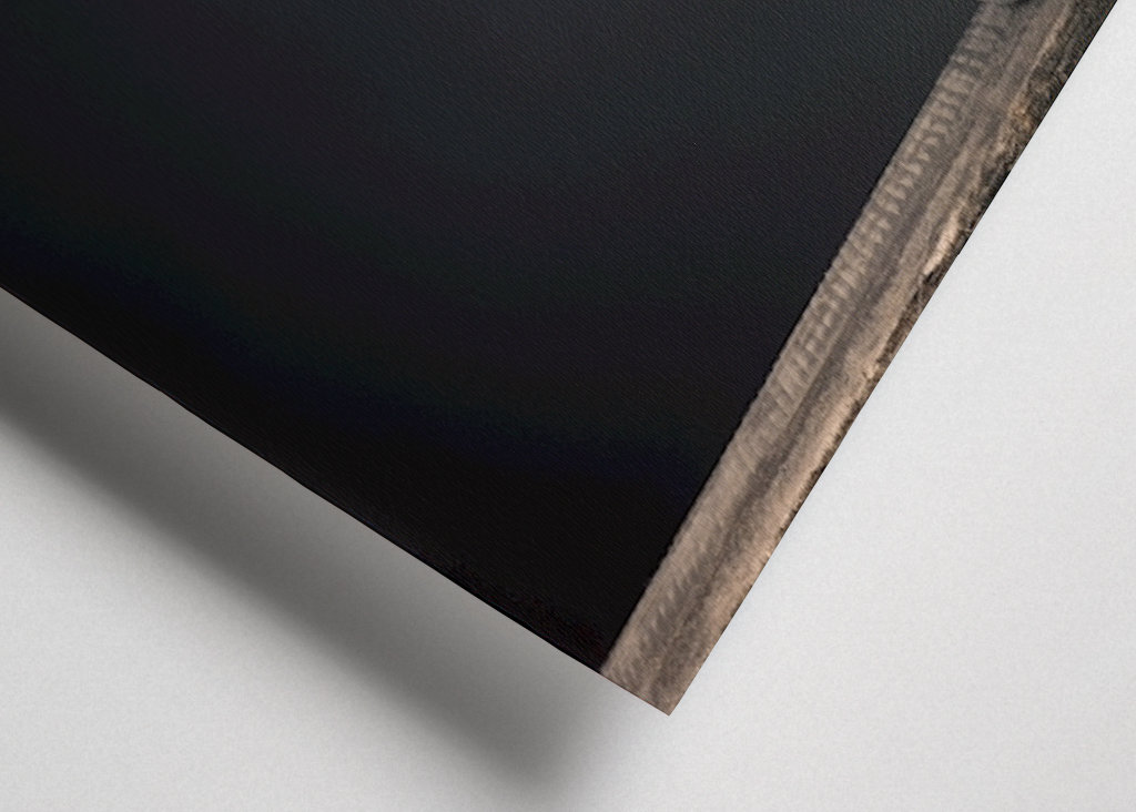 Uschlé žluté květy sedmikrásky