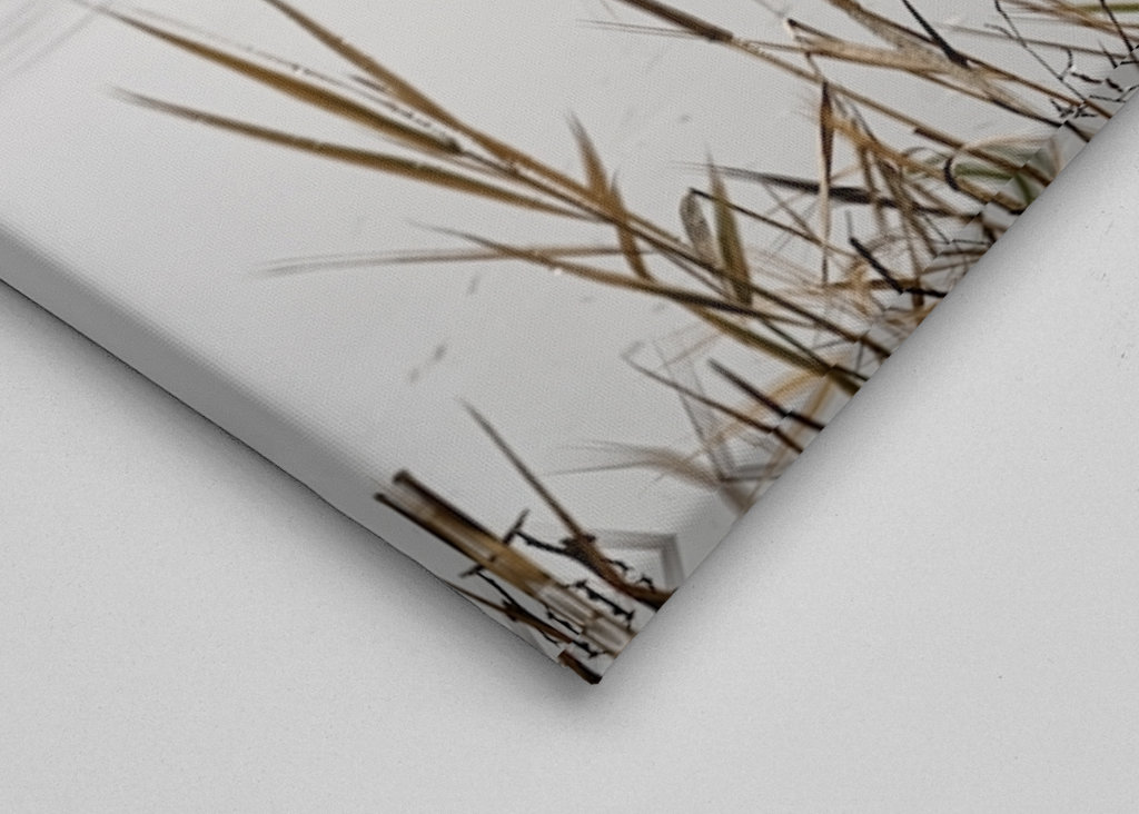 Nebelstimmung im Oderbruch