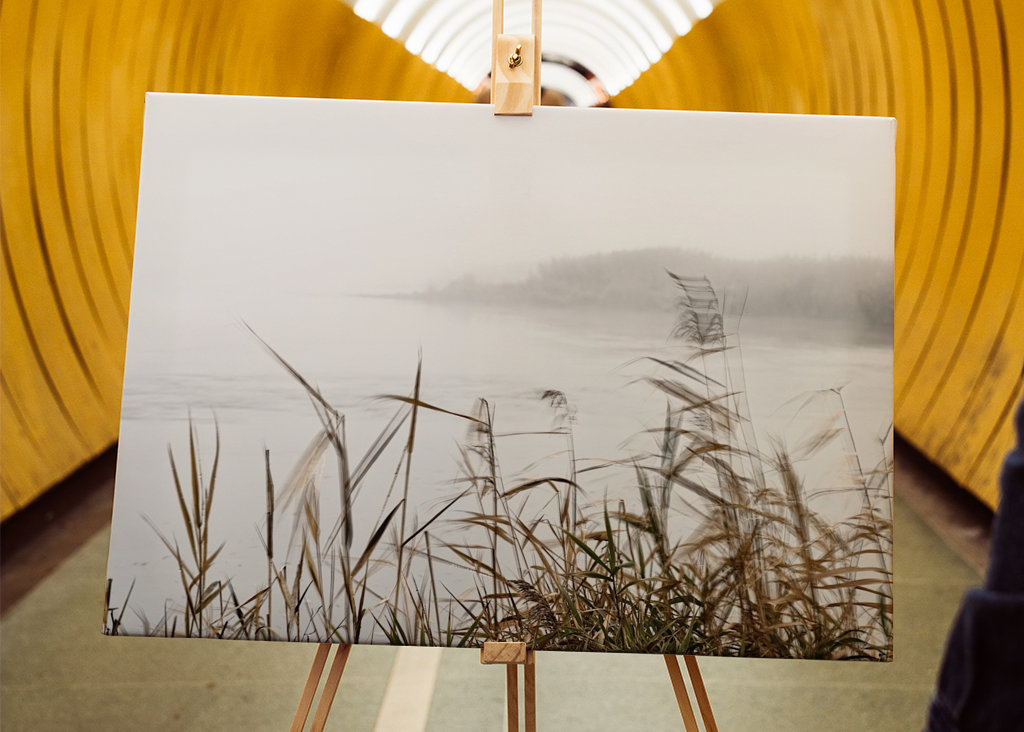 Nebelstimmung im Oderbruch