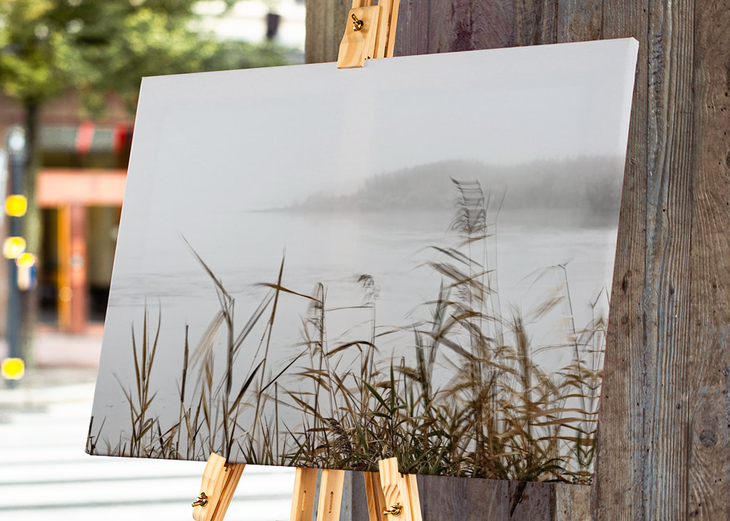 Nebelstimmung im Oderbruch