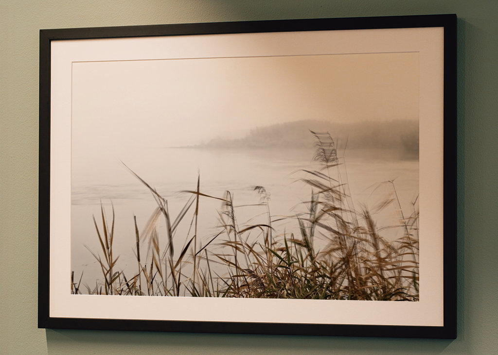 Nebelstimmung im Oderbruch