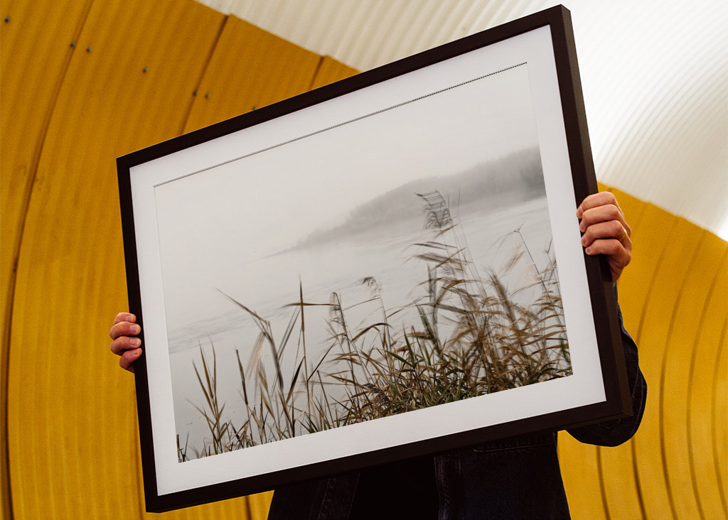 Nebelstimmung im Oderbruch