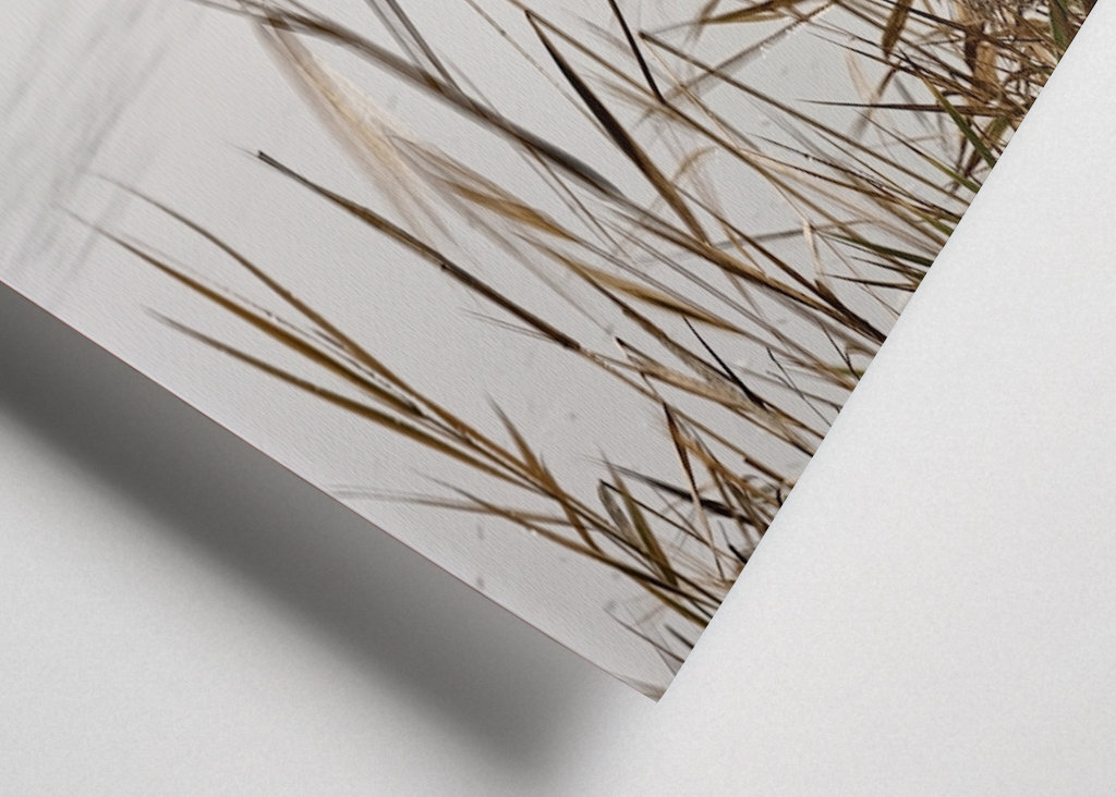 Nebelstimmung im Oderbruch