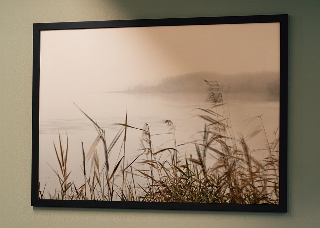 Nebelstimmung im Oderbruch