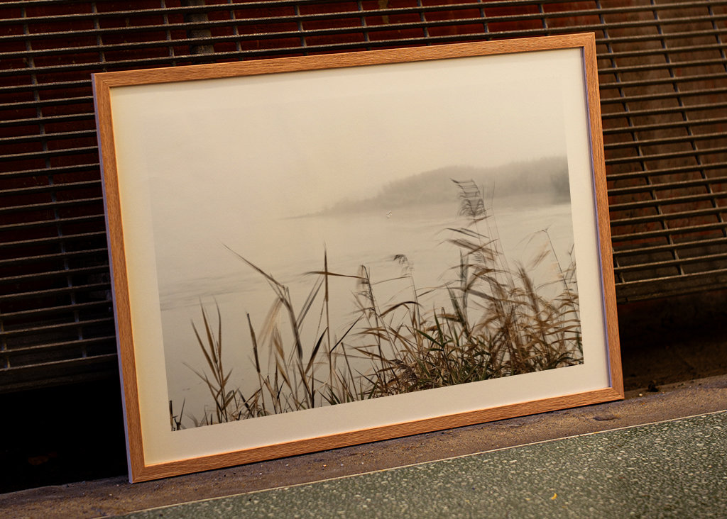 Nebelstimmung im Oderbruch