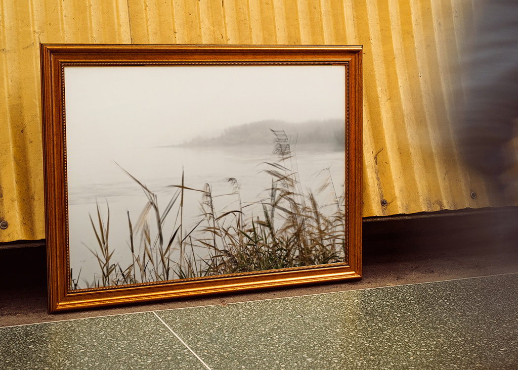 Nebelstimmung im Oderbruch