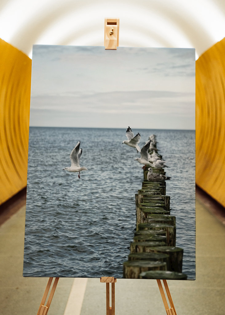 Sirályok szállnak fel a groynesből