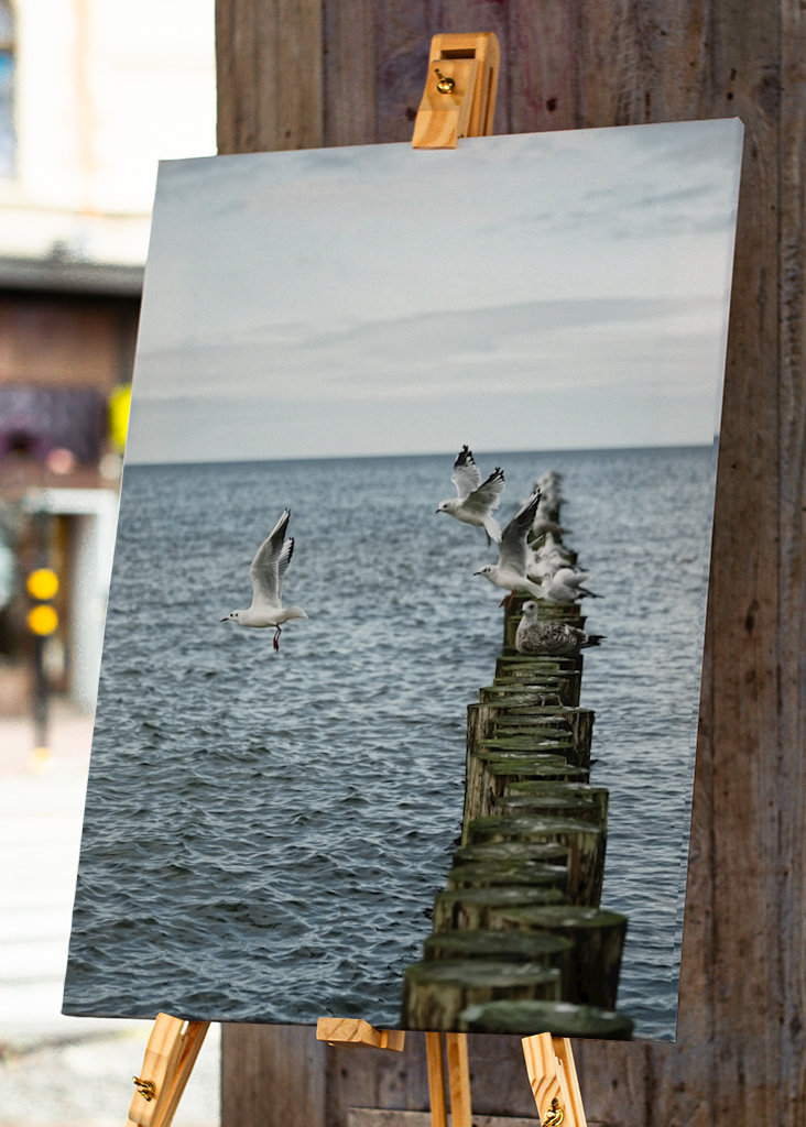 Sirályok szállnak fel a groynesből