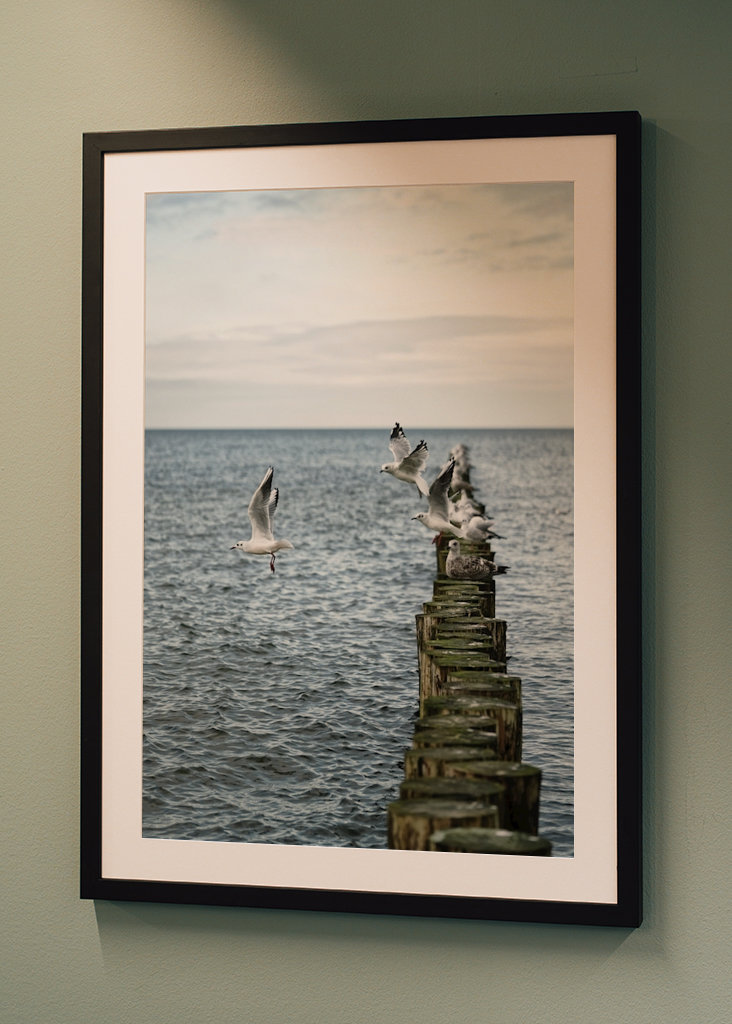 Sirályok szállnak fel a groynesből