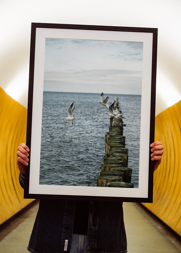 Sirályok szállnak fel a groynesből