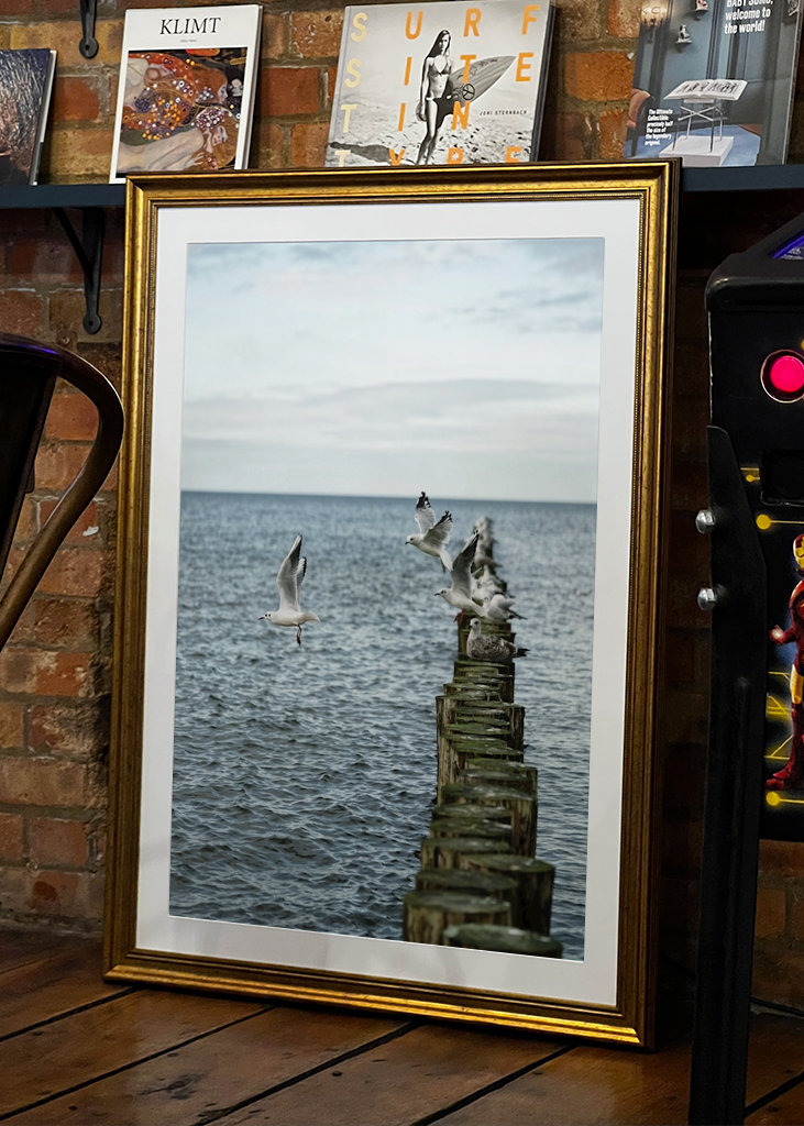 Sirályok szállnak fel a groynesből