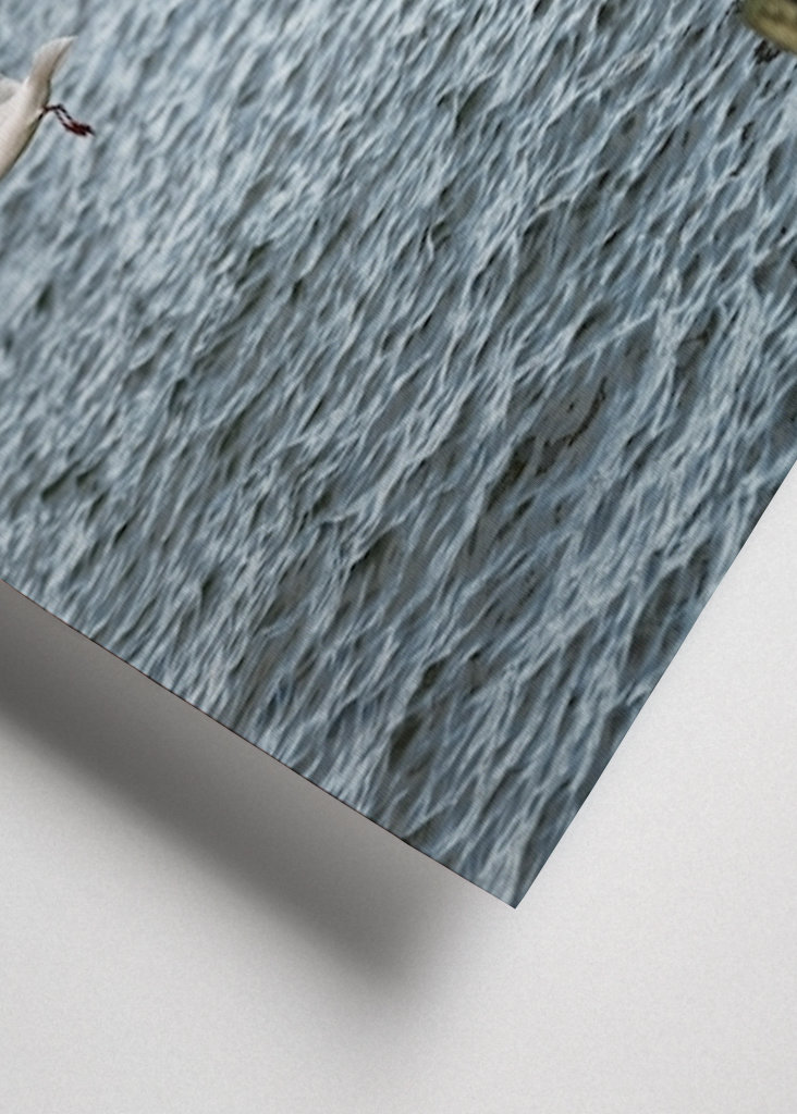 Sirályok szállnak fel a groynesből