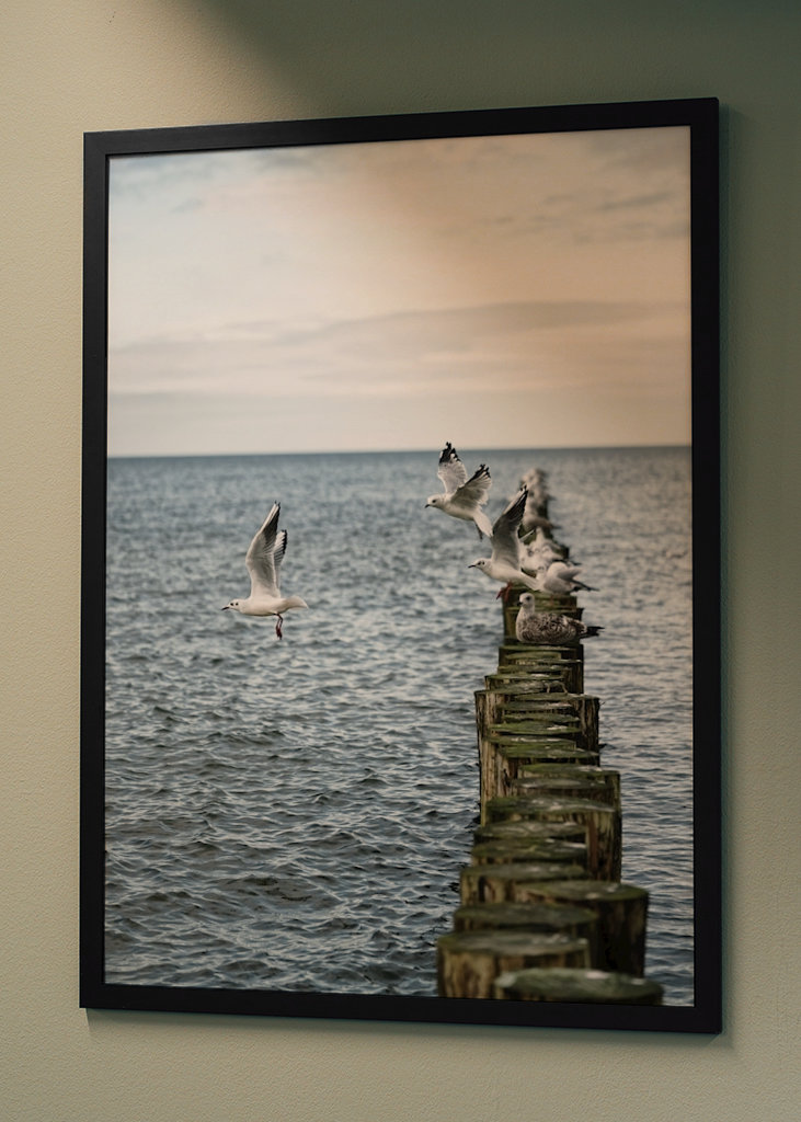 Sirályok szállnak fel a groynesből