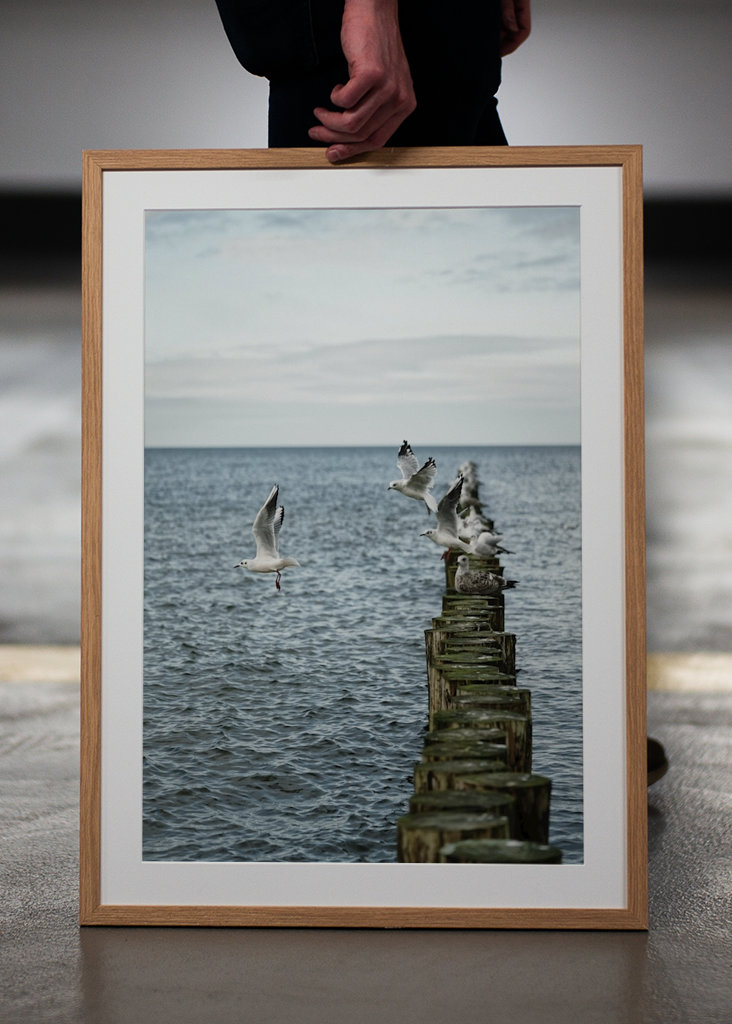 Sirályok szállnak fel a groynesből