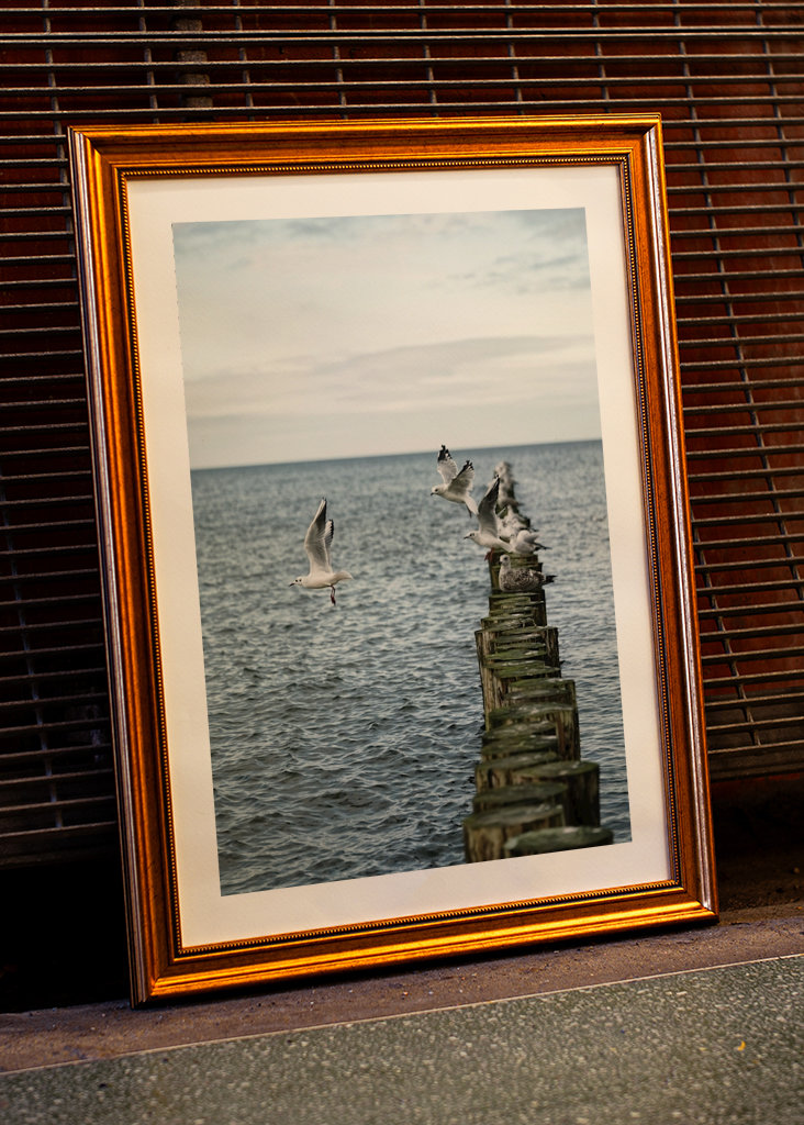 Sirályok szállnak fel a groynesből