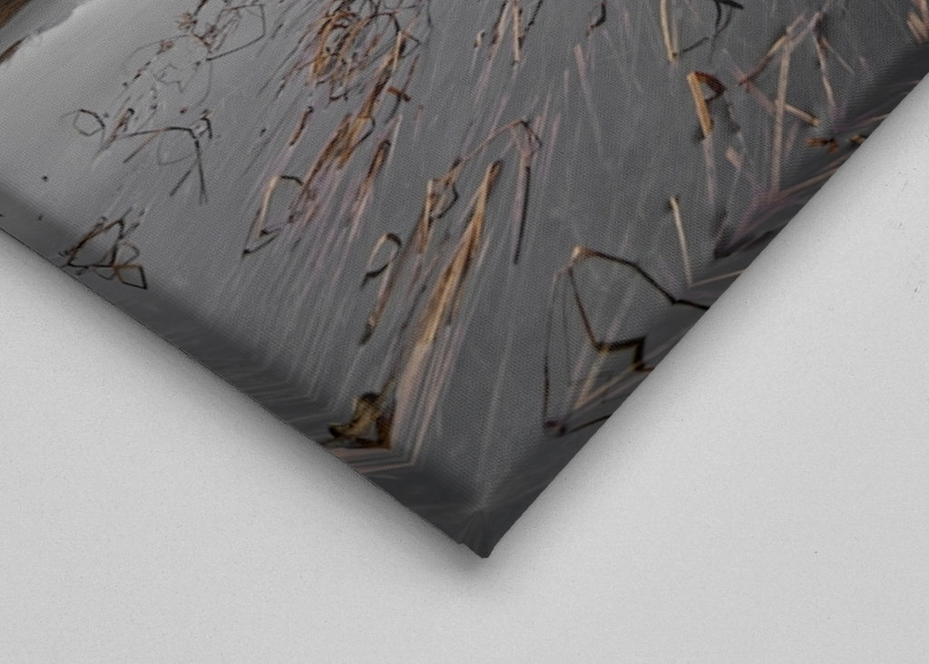 Bergkette mit Spiegelung