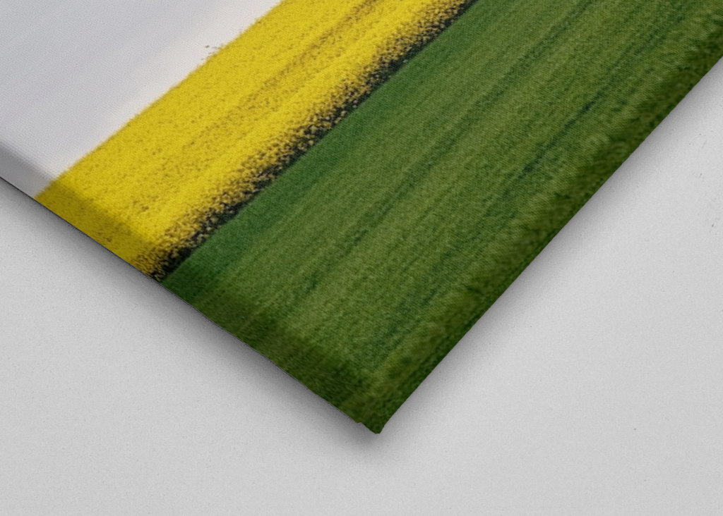 Zwei Bäume im Rapsfeld