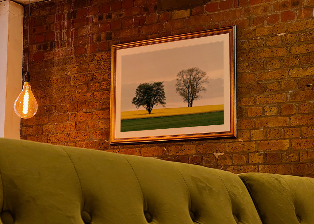 Zwei Bäume im Rapsfeld