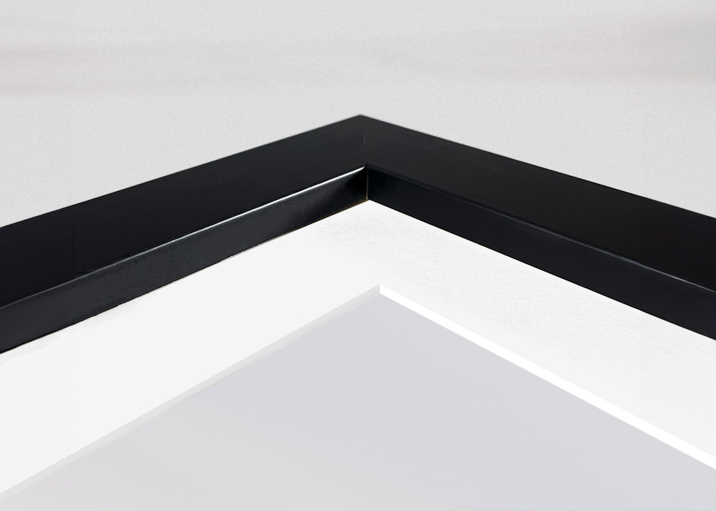 Zwei Bäume im Rapsfeld