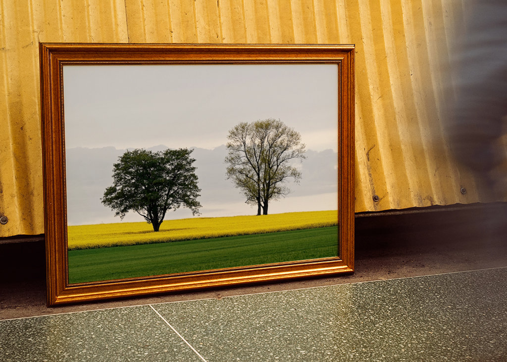 Zwei Bäume im Rapsfeld