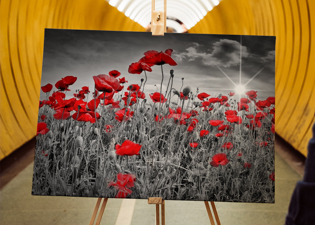 Idylické makové pole 