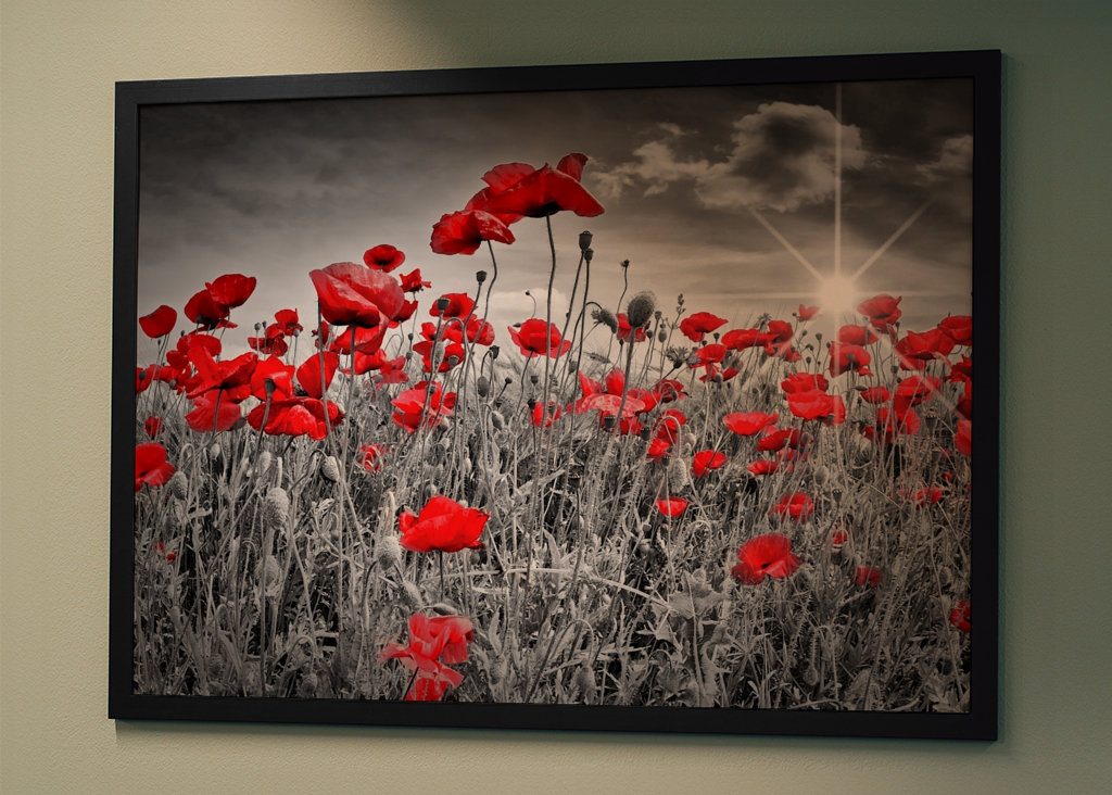 Idylické makové pole 