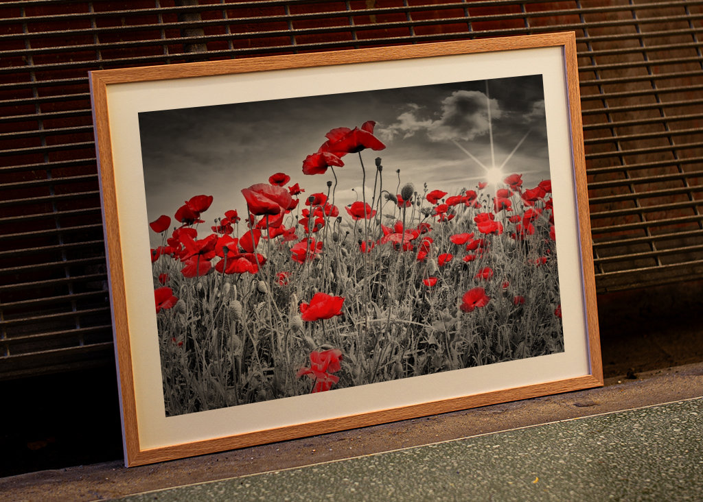 Idylické makové pole 