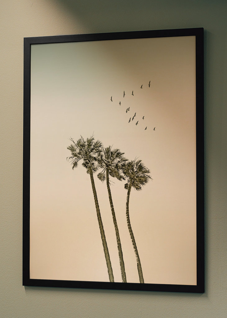 Palmeras al atardecer