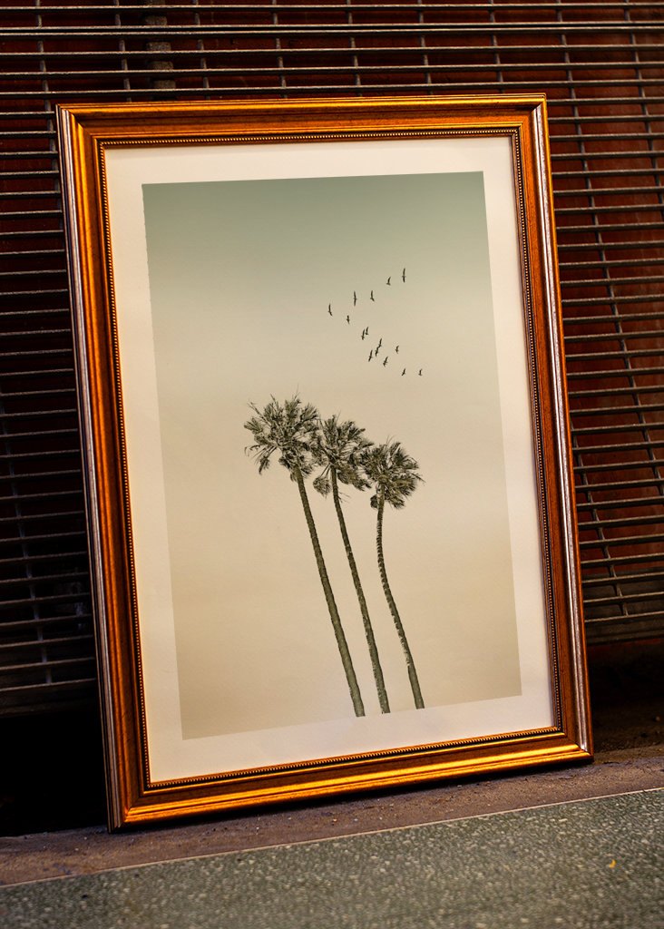 Palmeras al atardecer