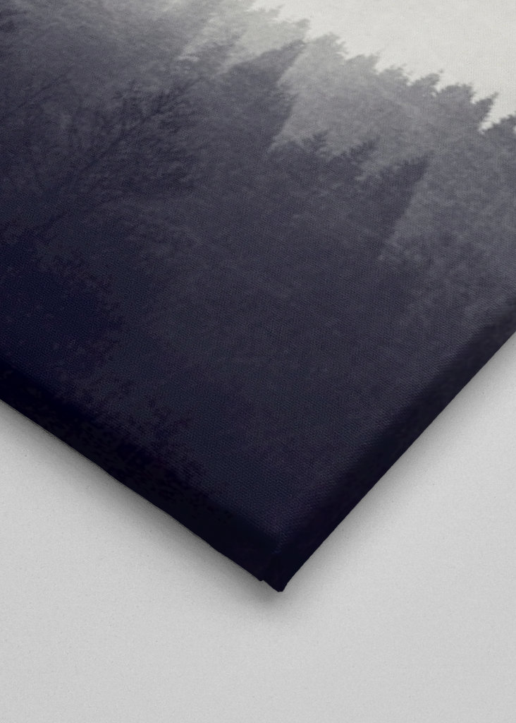 Rising - Vögel über Nebelwald